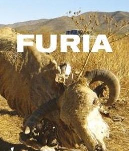 Furia