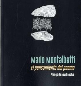 El pensamiento del poema