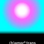 (h)amor 6 trans