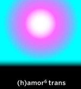 (h)amor 6 trans