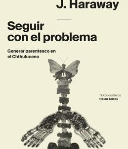 Seguir con el problema