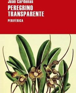 Peregrino transparente
