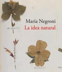 La idea natural