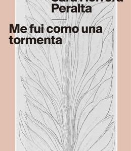 Me fui como una tormenta