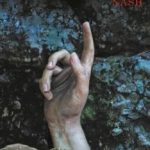 Las que no duermen NASH