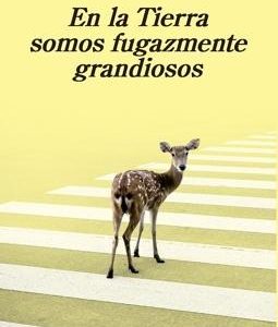 En la Tierra somos fugazmente grandiosos