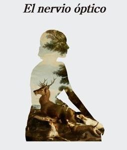 El nervio óptico