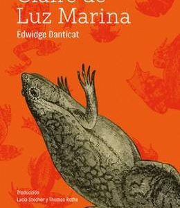 CLAIRE DE LUZ MARINA