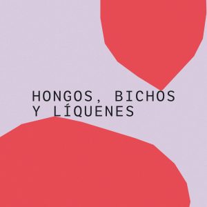 Hongos, bichos y líquenes